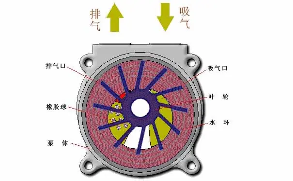 生活中总是听到真空泵,那真空泵是什么呢?